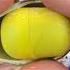 Yummy Kinder Surprise Egg Toys Opening A Lot Of Kinder Joy Chocolate ASMR Shorts