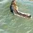 Tournament Anglers Will Understand This Bassfishing Fishing Bassfishingismylife Lure