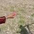 Farzaneh Comes To Take Ismail Away And Fatima Leaves To Look For Work
