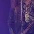 GRAND MAGUS Untamed Bloodstock 2019
