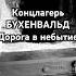 Машина смерти как работал крематорий концлагеря Бухенвальда