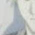 Hichigo Shirosaki Icon