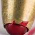 Red Ballpoint Pen Closeup Urday Macro Satisfy