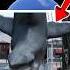 I Found A Giant Angry Shark On Google Maps Shorts YouTubeShorts ViralShorts ShortsFeed