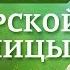 Мудрые советы сибирской учёной травницы Лидии Суриной