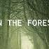 In The Forest Instrumental
