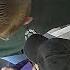 7th Grader Stops School Bus After Driver Passes Out