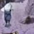 Sasuke S Poker Face