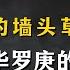 迎风而立的墙头草 大数学家华罗庚的生存函数与人生赢家之道
