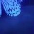 Loren Gray Queen Slowed Reverb