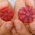 Healthy Homemade Gummies
