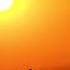 Camel Sahalé Monolink Moby Hans Zimmer Nicolas Jaar Mix By Rialiansonearth7679