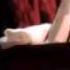 Dimitris Sevdalis Quartet Feat Mildreys Duquesne El Ciego Mpg