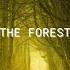 In The Forest 2