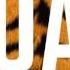 Katy Perry Roar Rock Version