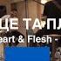 Серце Та Плоть Leeland TAYA Heart Flesh M Worship Cover