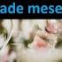 Karaoke Bine I Sade Mesei Mele