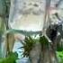Good Under Water And Botal Shortvideo Natural Beauty Underwater