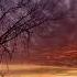 Loving This Moment Gamma Skies Feat Mia Niles W Lyrics