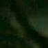Shut Me Up Ginga AMV