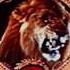 Metro Goldwyn Mayer 1956