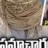 న న ప క క సమ చ ర ఇచ చ న జ ఒప ప క న న జ య త మల హ త ర Pak Spy Jyoti Malhotra ABN