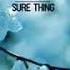 Vintage Culture Earstrip Torha Ft Ashibah Sure Things Radio Mix