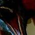 Raptor Vs Raptor JURASSIC WORLD CHAOS THEORY