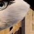 Misscat Y Shero Se Conocen