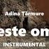 Adina Țărmure Ce Este Omul Instrumental Official Audio Video