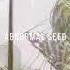 初音ミクV3 Hatsune Miku Abnormal Seed Transfer Original