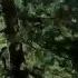 Skillet Live Free Or Let Me Die Music Video HD Lyrics