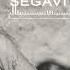 ZANA SAY SEGAVİ 2021 POTPORİ