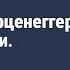 Урок для канала книги Капцова Ты крутая Арнольд Шварценеггер 7 правил жизни Часть 5