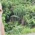 The Girl Got Angry When Her Husband S Ex Girlfriend Kept Bothering Her