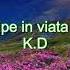Sunt Clipe In Viata Ce Dor Ca Si O Rana
