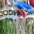Woody Woodpecker Gose To Camp Intro