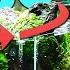 Building A 360 Walkaround Aquarium Lava Stone Mountains Underwater