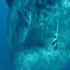 This Sea Giant Eats Jellyfish For Breakfast Deadly 60 BBC Earth Kids