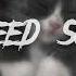 SPEED SONG он гениален предложил курить траву на первом свидании