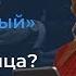 Самозанятый и ИП В чем разница