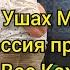 Шум в Ушах Меньше Депрессия прошла Благодарю Вас Каждый День Чиним Людей АКУПРЕССУРА Россия