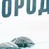 Тайны Города Эн 2018 Детектив 1 4 серии Full HD