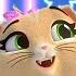 44 Cats Let S Dance Along Concert Full Of Fun Easy Choreography For Kids