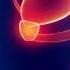 Genital Stimulation Binaural Beats Pure Tone Sound Therapy Digital Brainwave Hypnosis 2 30 Hz
