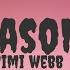 REASONS MIMI WEBB LYRICS VIDEO