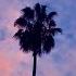 Halsey Without Me Slowed Down