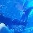 Mermaids At Adventure Aquarium Road Trip Hammerhead Shark The Tom Haley Show S4 E2
