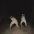 As Lendas Urbanas Mais Assustadoras Curiosidades Scary Horrorshorts Medo Legend Lendas