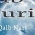 Qalb Nuri